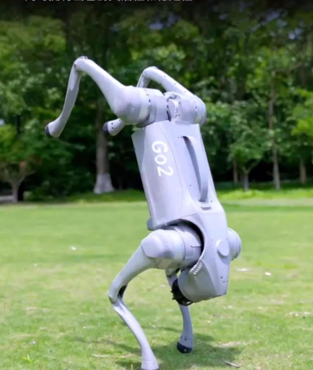 TOP 3D SHOP UNITREE GO1 Pro Robot Dog Toy Artificial Intelligence accompanying Technology Dog